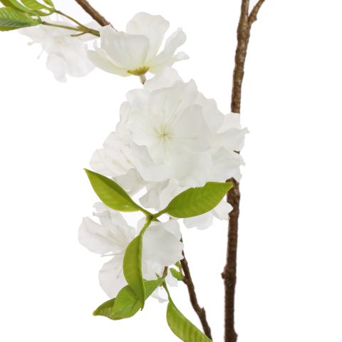 LARGE PEACH BLOSSOM 115CM CREAM