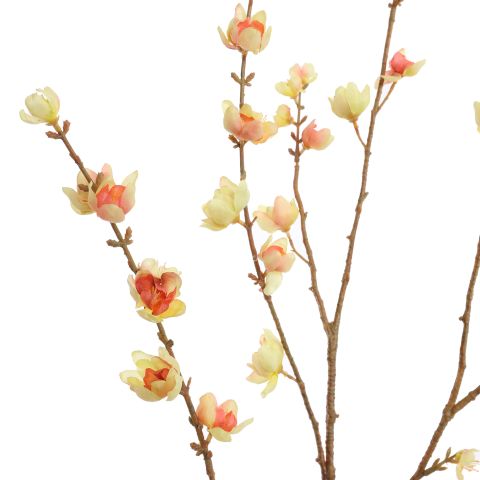 LARGE WINTERSWEET 125CM PINK YELLOW
