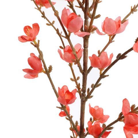 GIANT WINTERSWEET 150CM PINK