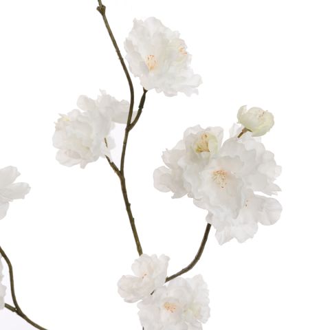 SMALL KANZAN BLOSSOM 85CM CREAM