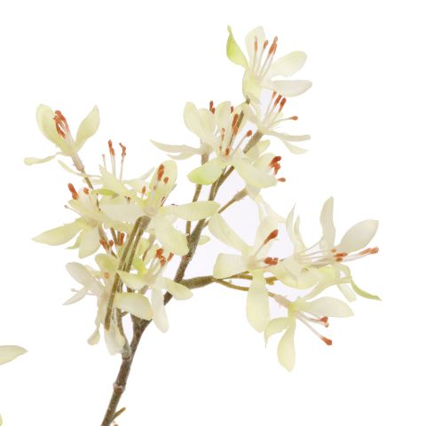 PEACH SPRAY 113CM GREEN