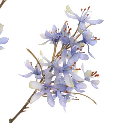 PEACH SPRAY 113CM LIGHT BLUE