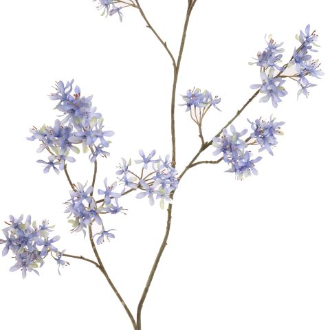 PEACH SPRAY 154CM LIGHT BLUE