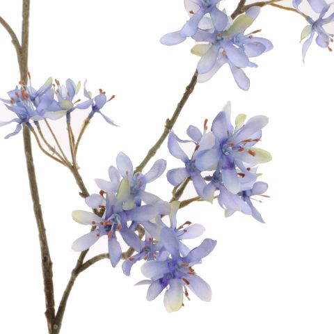 PEACH SPRAY 154CM LIGHT BLUE