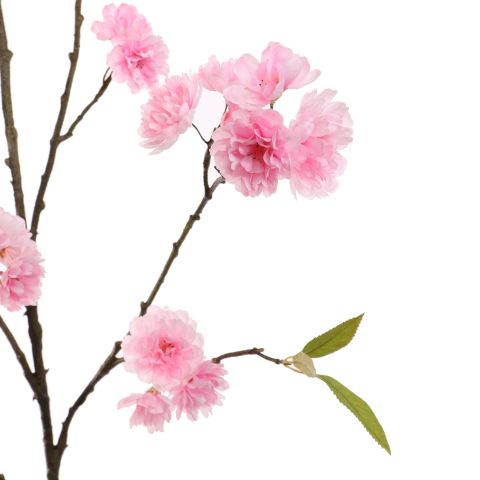 CHERRY BLOSSOM 164CM PINK