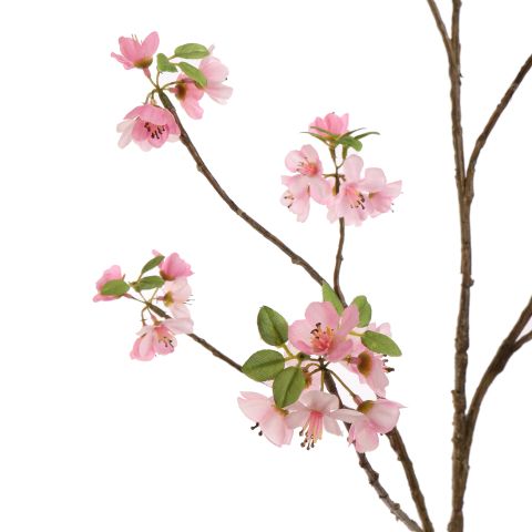 SAKORA 120CM PINK