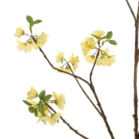 SAKORA 120CM YELLOW