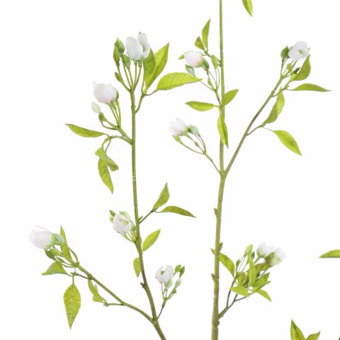 PEACH BLOSSOM 105CM CREAM