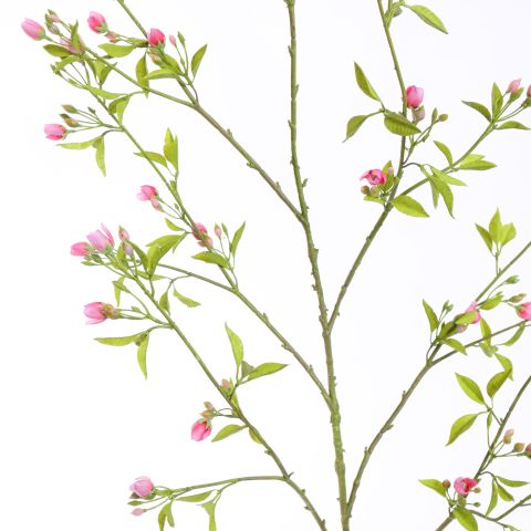 PEACH BLOSSOM 142CM PINK