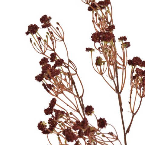 LARGE GYPSO BRANCH 80CM BROWN
