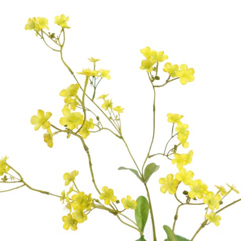 GYPSOPHYLE 75CM YELLOW