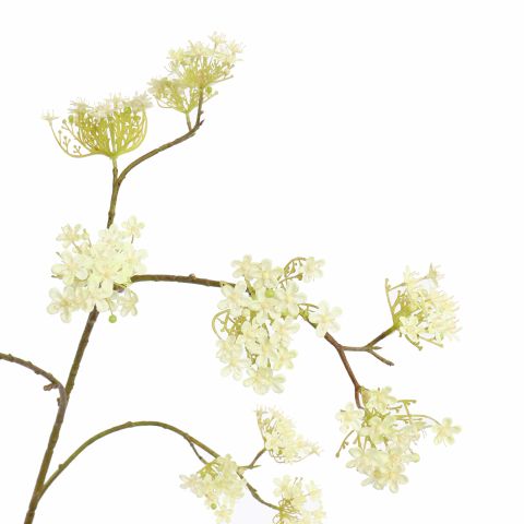 GIANT DILLE 140CM CREAM GREEN