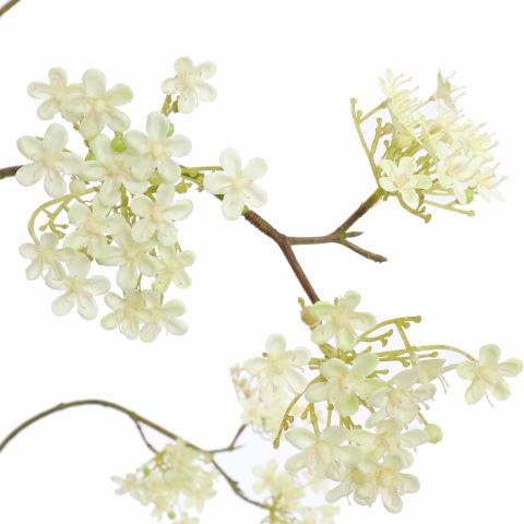 GIANT DILLE 140CM CREAM GREEN