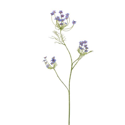 40240039-bl.jpg