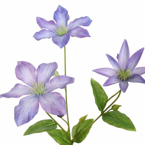 CLEMATIS SPRAY 67CM BLUE