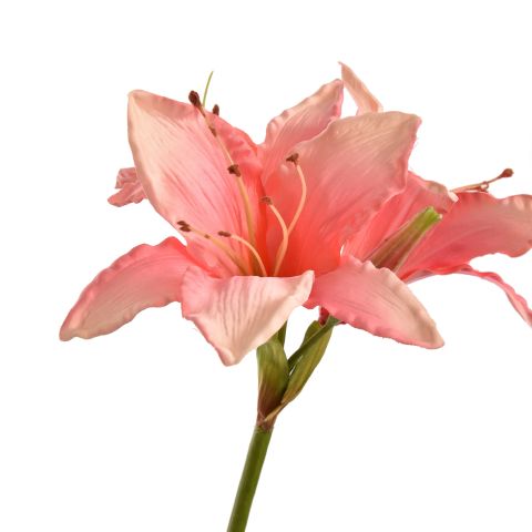 HIPPEASTRUM SPRAY 77CM PINK