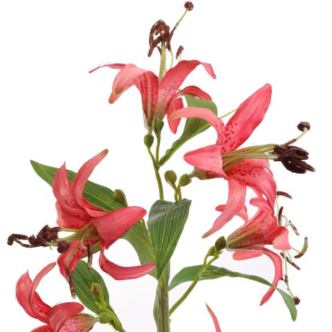 MINI LILY BRANCH 65CM BEAUTY