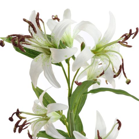 MINI LILY BRANCH 65CM CREAM