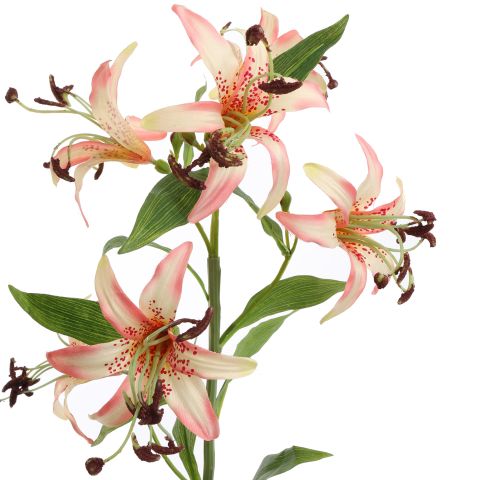 MINI LILY BRANCH 65CM CREAM PINK