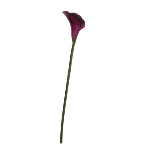 40260022 DKPU.jpg