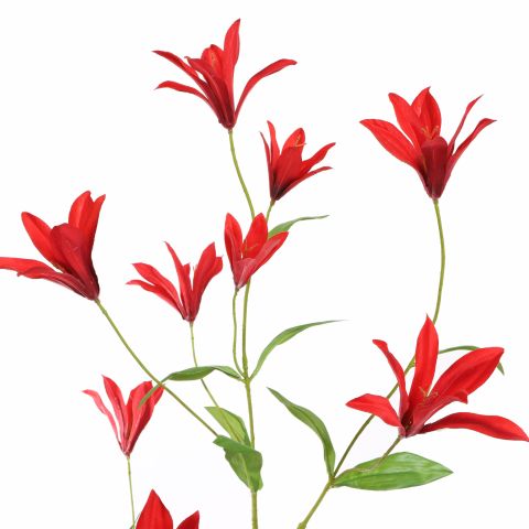 TIGER LILY SPRAY 112CM RED
