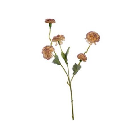 40270004-ma.jpg