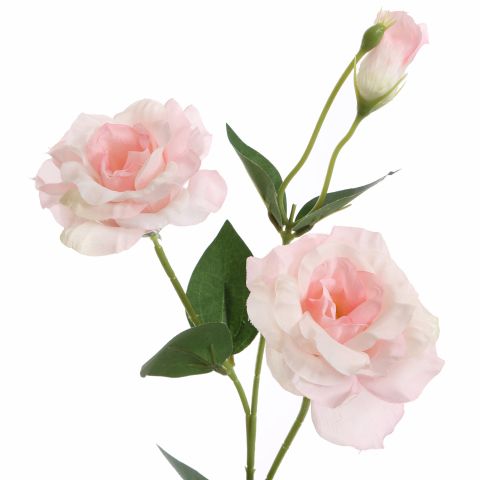 LYSIANTHUS 67CM PINK