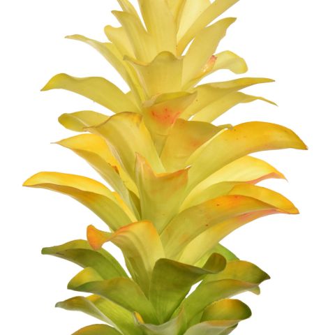 GINGER LILY 90CM YELLOW
