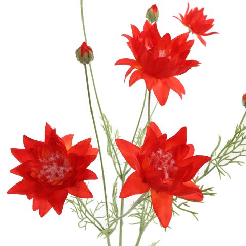 SERRURIA 95CM RED