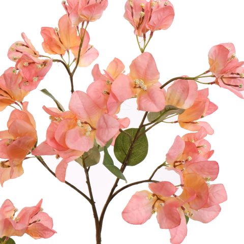 BOUGAINVILLEA 90CM PINK