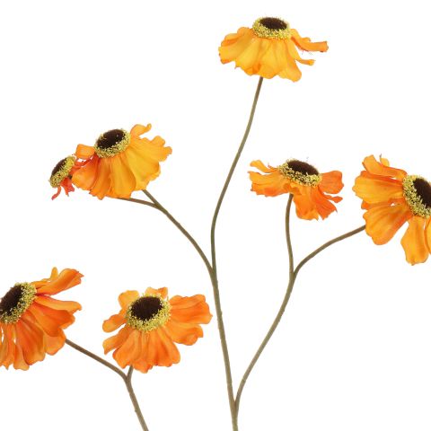 HELENIUM 100CM OCRE