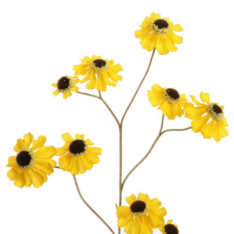 HELENIUM 100CM YELLOW