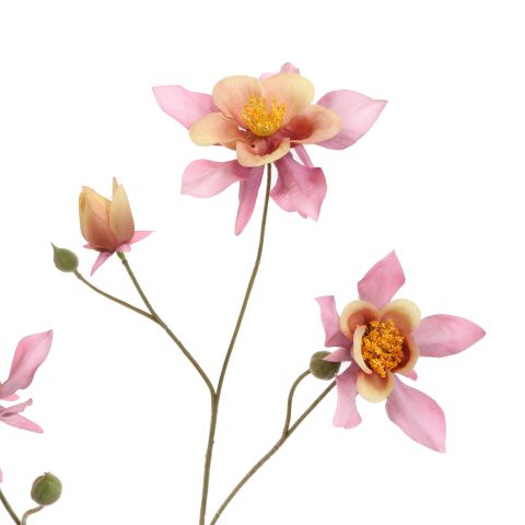 COLUMBINA 104CM LILA