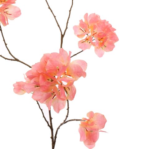BOUGAINVILLEA 111CM PINK