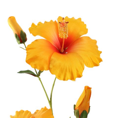 HIBISCUS 75CM YELLOW
