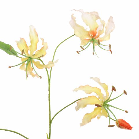 GLORIOSA LILY 106CM PEACH