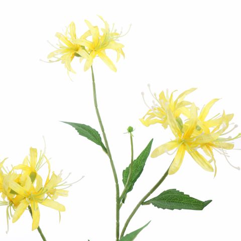 NERINE 70CM YELLOW