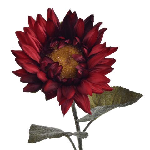 SINGLE SUNFLOWER 70CM RED