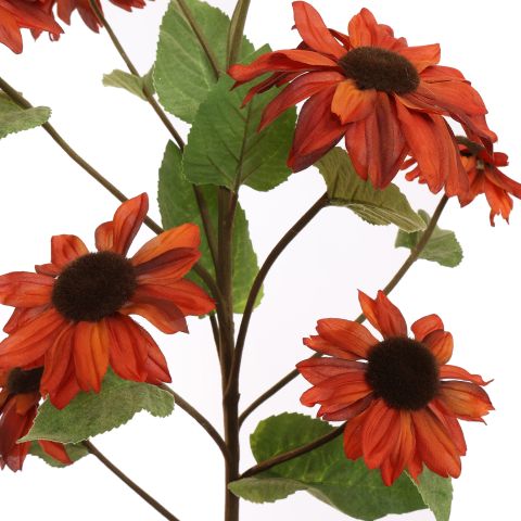 SUNFLOWER 122CM BROWN