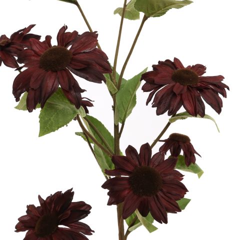 SUNFLOWER 122CM BURGUNDY