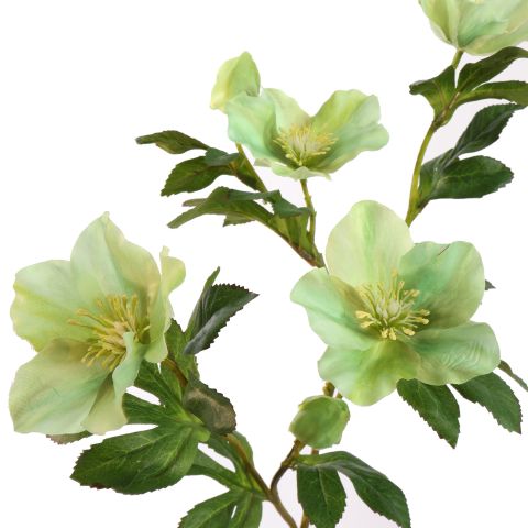CHRISTMAS ROSE 65CM GREEN