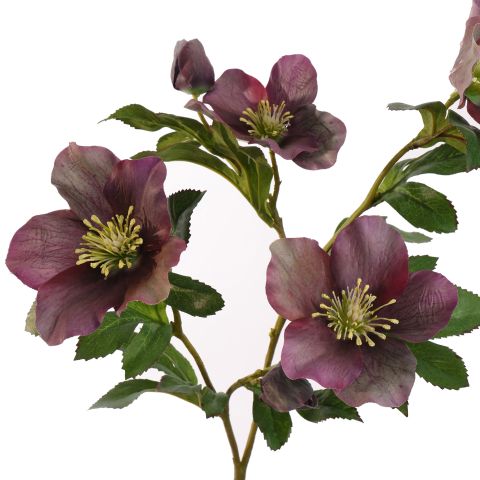 CHRISTMAS ROSE 65CM PURPLE