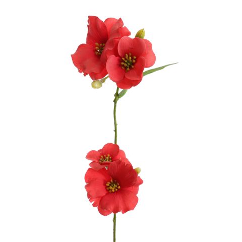 PRIMULA SPRAY 92CM CORAL