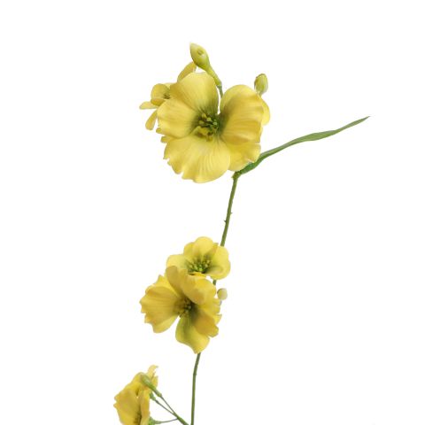 PRIMULA SPRAY 92CM YELLOW