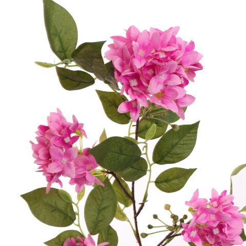 LILAC BRANCH 75CM BEAUTY