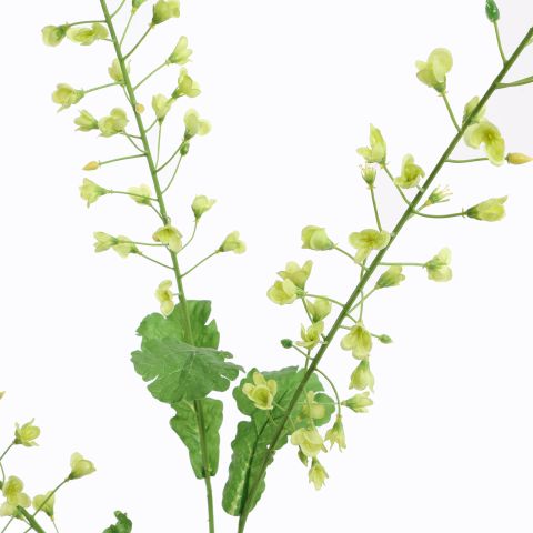 RAPESEED FLOWER 110CM GREEN