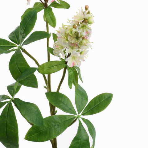 CHESTNUT FLOWER 95CM CREAM
