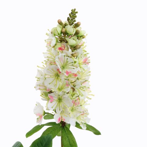 CHESTNUT FLOWER 95CM CREAM