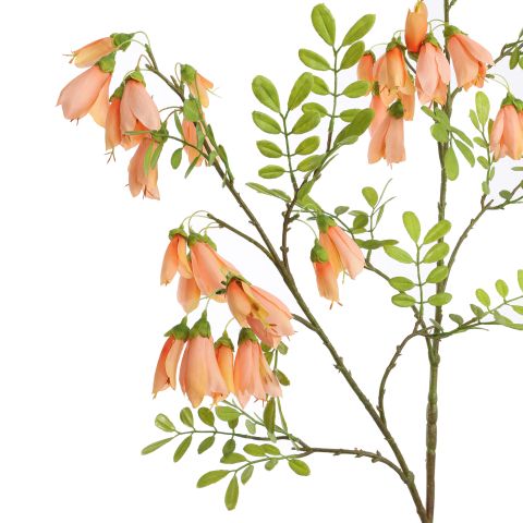 LARGE KOWHAI FLOWER 115CM PEACH