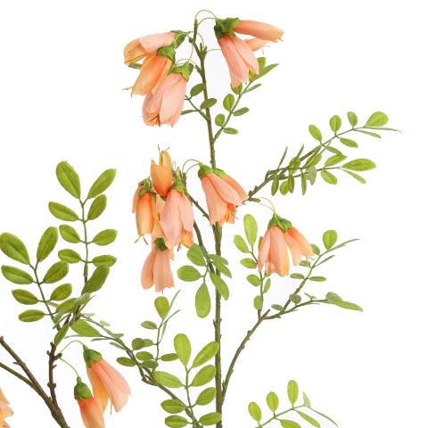 LARGE KOWHAI FLOWER 115CM PEACH